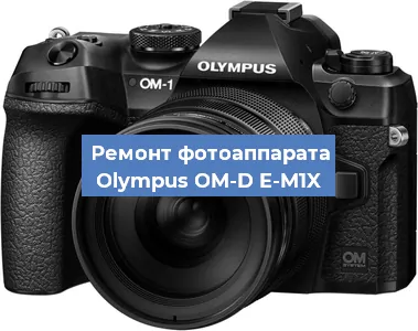 Прошивка фотоаппарата Olympus OM-D E-M1X в Воронеже